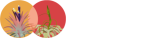 Air Plants World